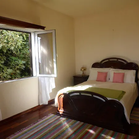 Ocean Paradise Beach Villa